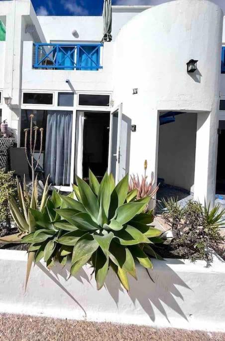 Ferienwohnung 17 Puerto Del Carmen Blueshark Exterior foto